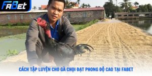 Cách tập luyện cho gà chọi